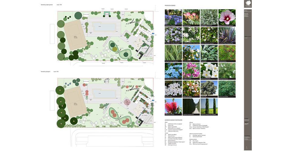 http://www.treelogy.it/wp-content/uploads/2023/04/progetto_definitivo_proposta-essenze1000x500.jpg